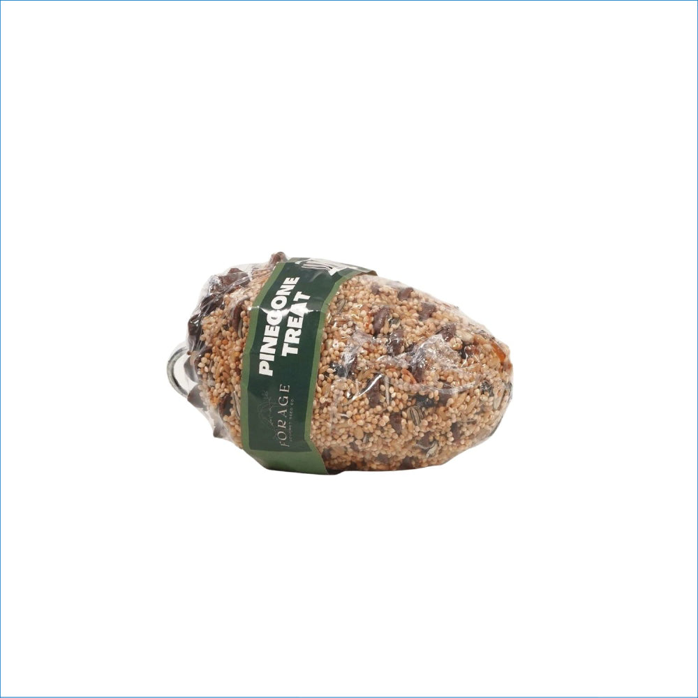 FORAGE PINECONE TREAT MEDIUM PARROT