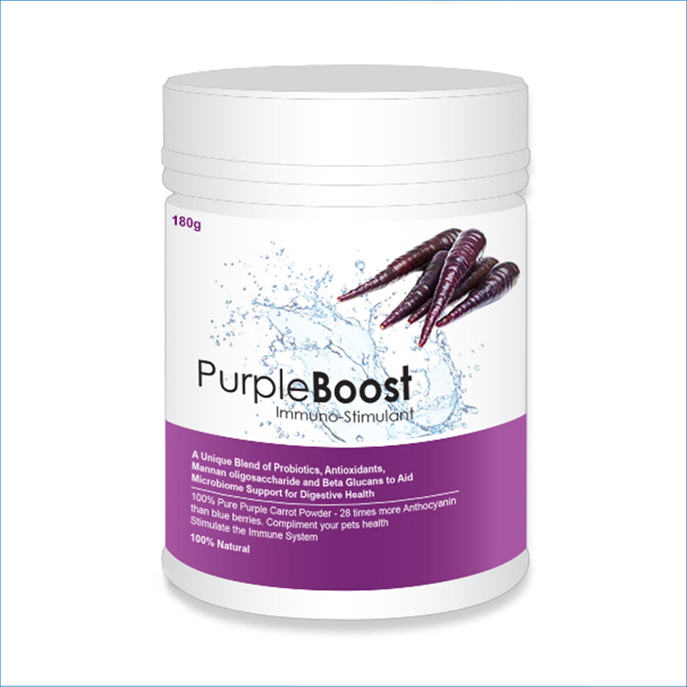 LIFEWISE PURPLE BOOST 180G