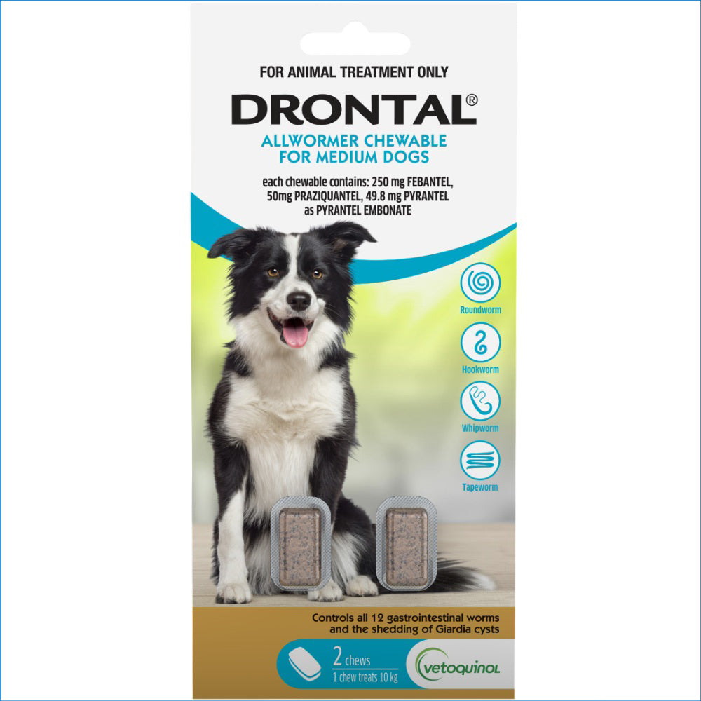 DRONTAL ALLWORMER CHEWABLE TABLETS MEDIUM DOG 10KG 2PK