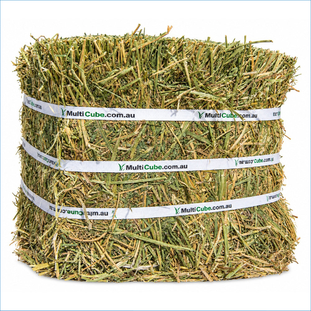 MULTICUBE COMPRESSED LUCERNE BALE