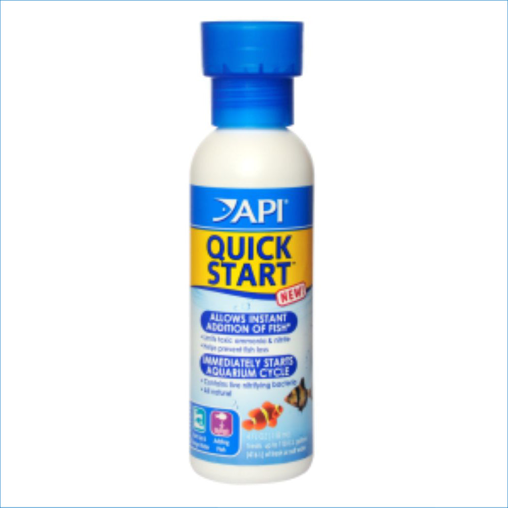 API QUICK START