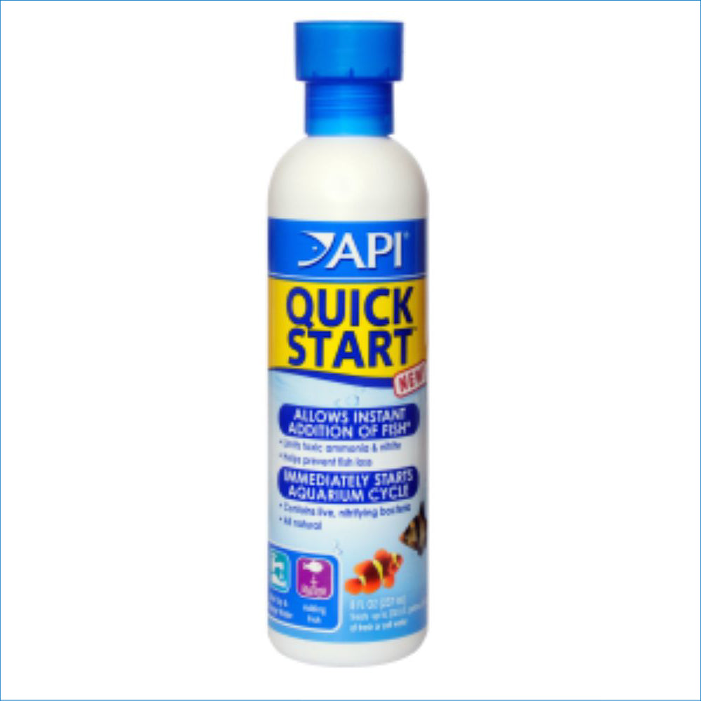 API QUICK START