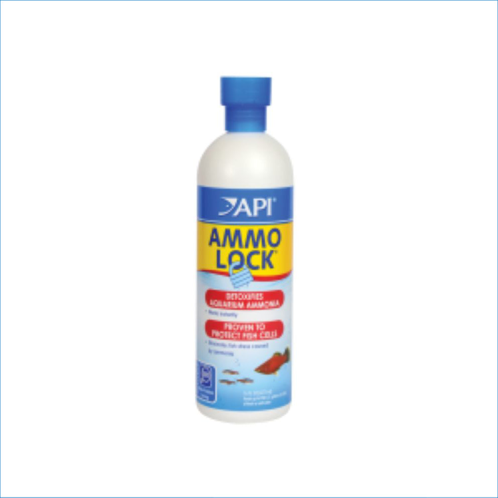 API AMMO LOCK