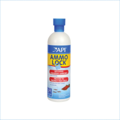 API AMMO LOCK