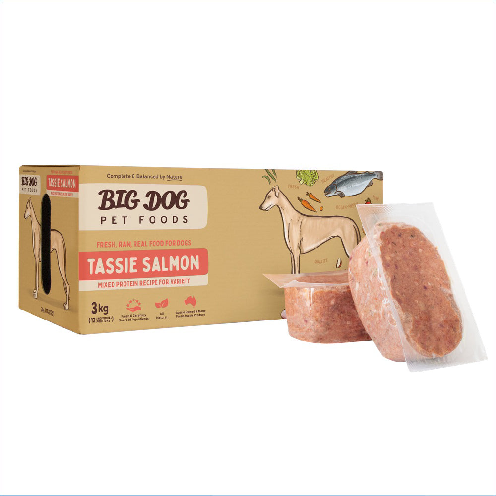 BIG DOG SALMON BARF FOR DOGS 3KG