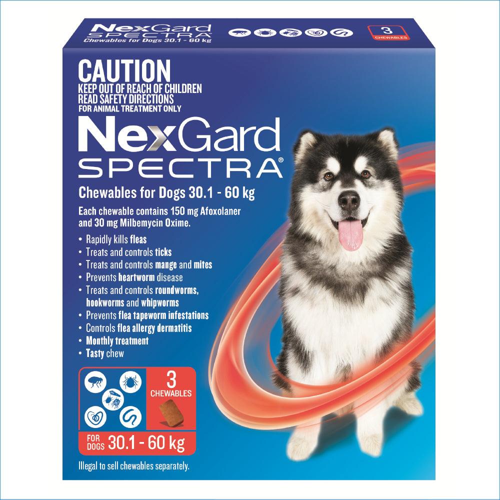 NEXGARD SPECTRA 30.1-60KG