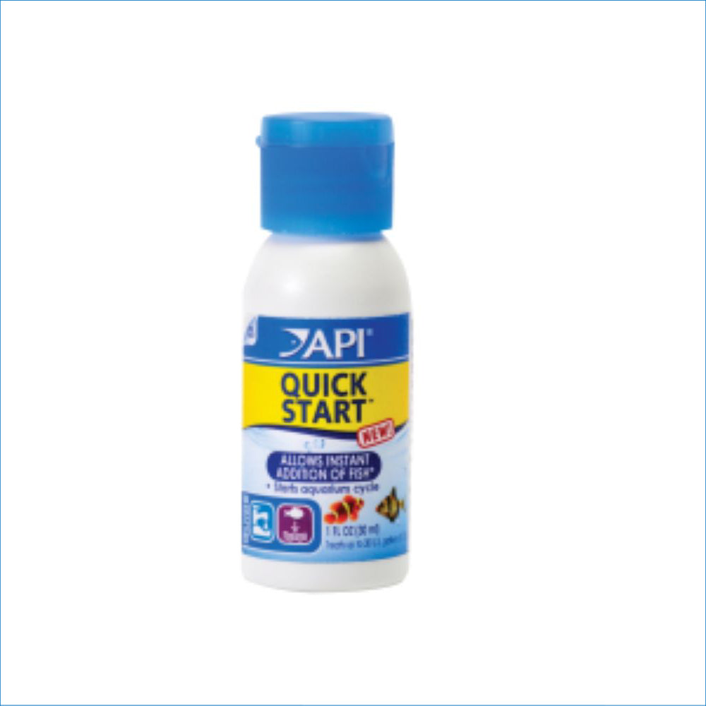 API QUICK START