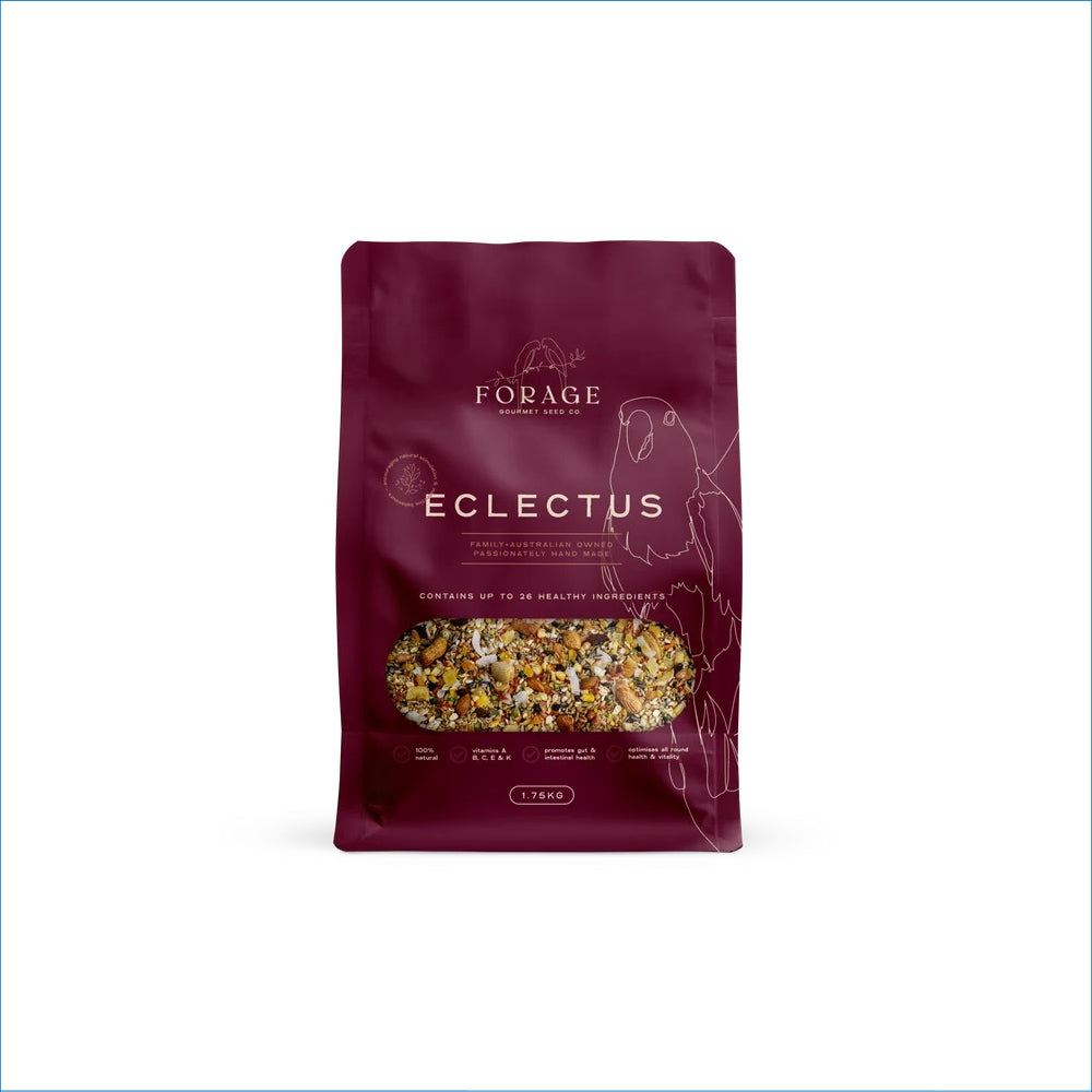 FORAGE GOURMET ECLECTUS