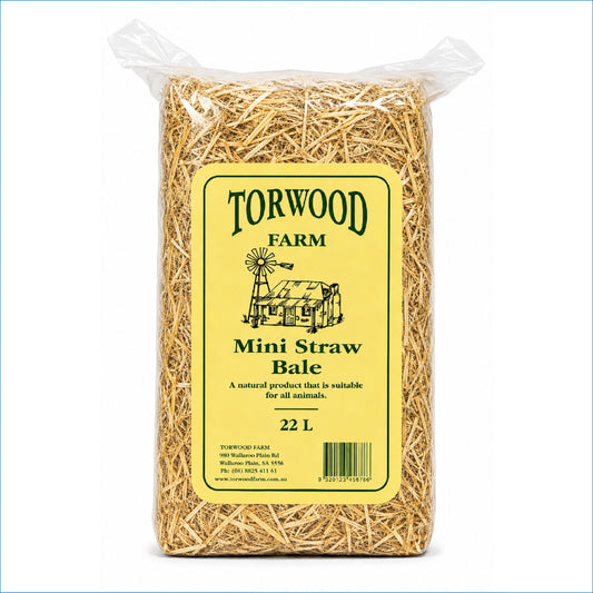 TORWOOD FARM MINI STRAW BALE 22L