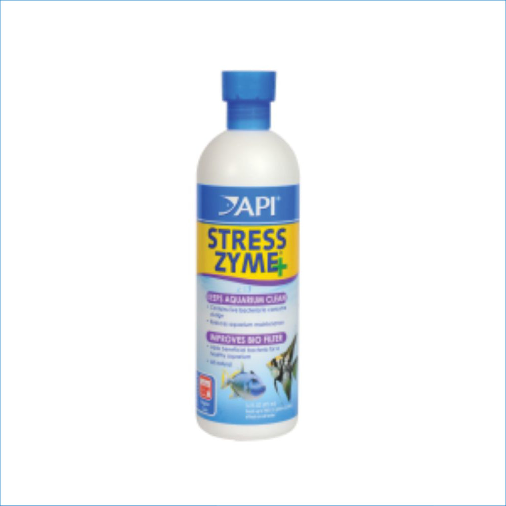 API STRESS ZYME