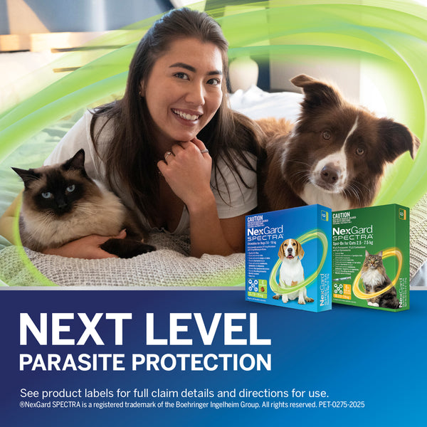 Flea & Tick Control For Dogs & Cats