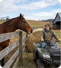 Horse Feeds, Grains & Hay